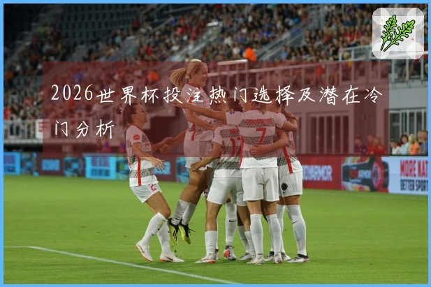 2026世界杯投注热门选择及潜在冷门分析