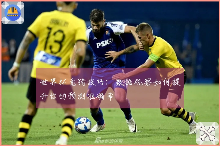 世界杯竞猜技巧：数据观察如何提升你的预测准确率