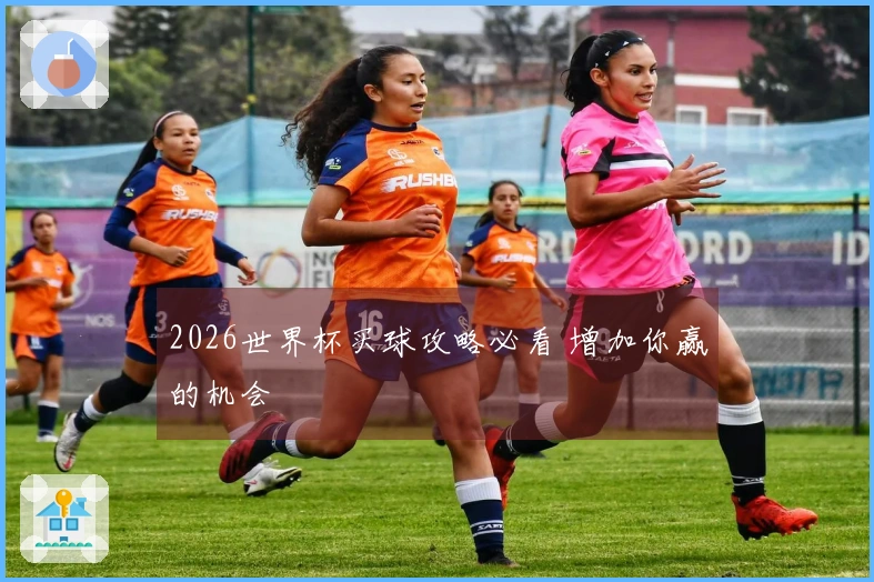 2026世界杯买球攻略必看 增加你赢的机会