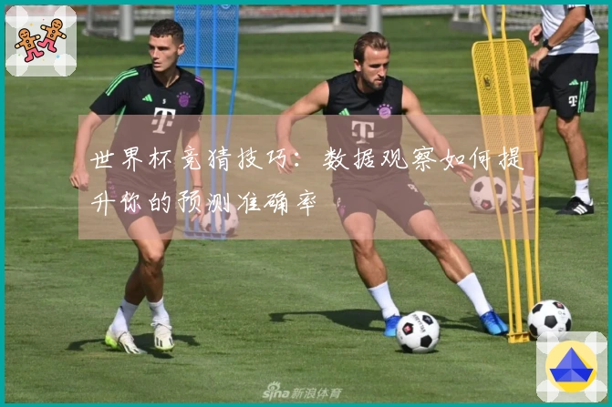 世界杯竞猜技巧：数据观察如何提升你的预测准确率